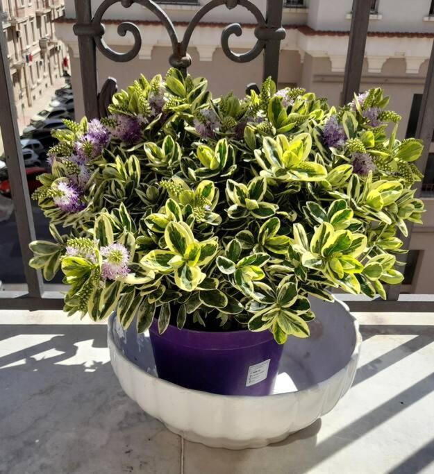 Casa Jole, Appartamento In Centro Bari Dış mekan fotoğraf
